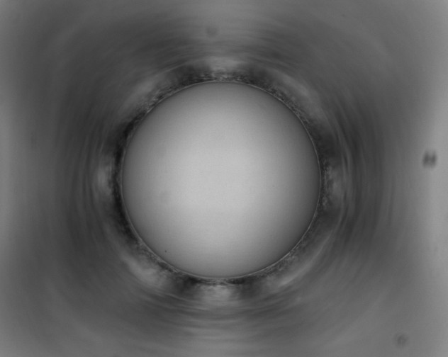 X0000101650698200807101232