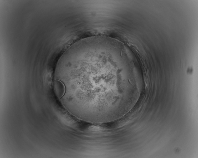 X0000101650699200807101232