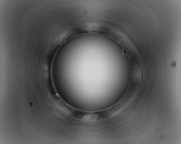 X0000101650700200807101231