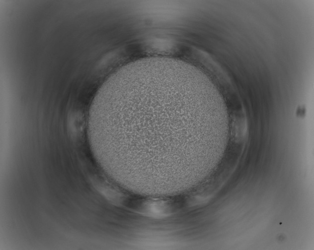 X0000101650701200807101231