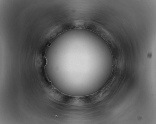 X0000101650702200807101231