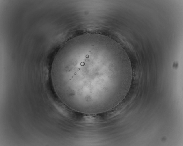 X0000101650703200807101231