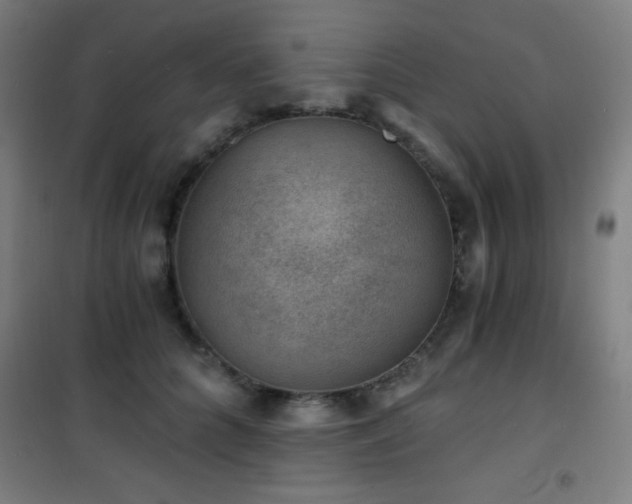 X0000101650704200807101231