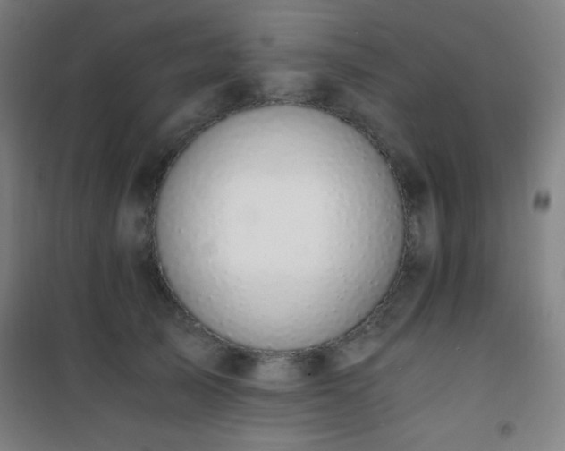 X0000101650705200807101231