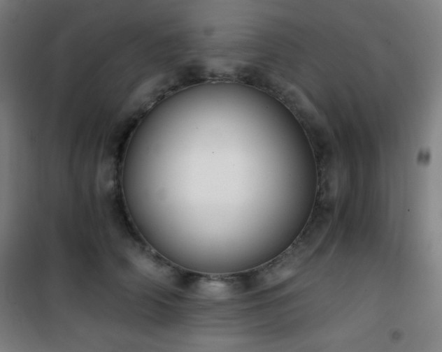 X0000101650706200807101231