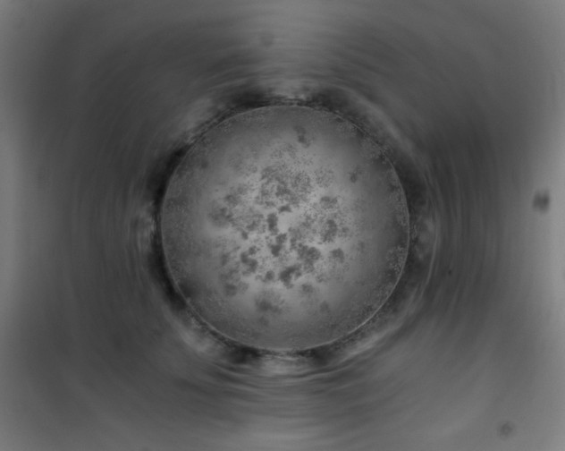 X0000101650707200807101231