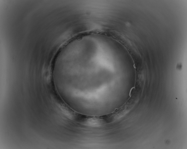 X0000101650708200807101231