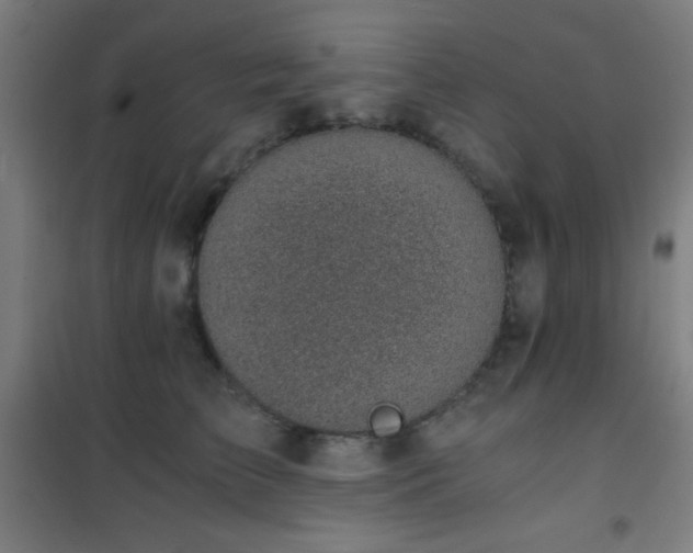 X0000101650709200807101231