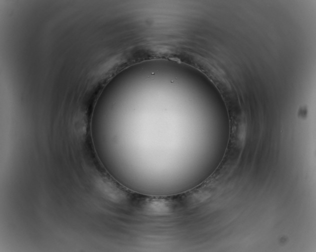 X0000101650710200807101231