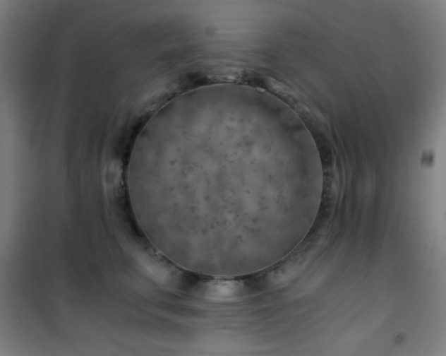 X0000101650711200807101231