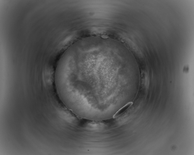 X0000101650712200807101231