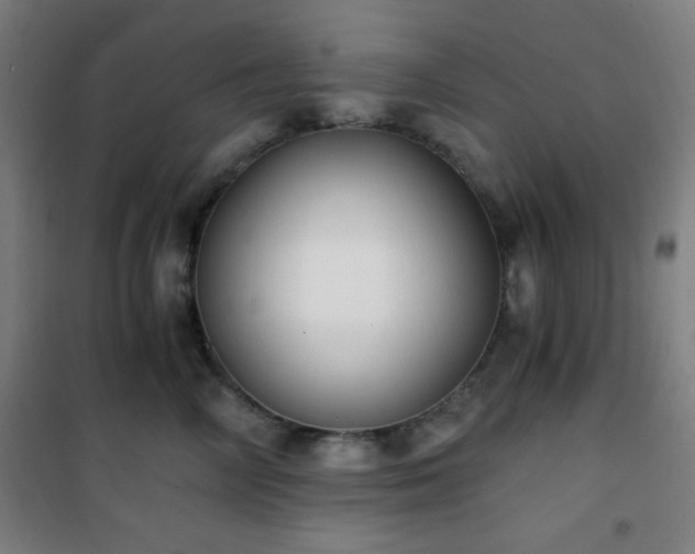 X0000101650714200807101231