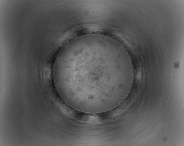 X0000101650715200807101231