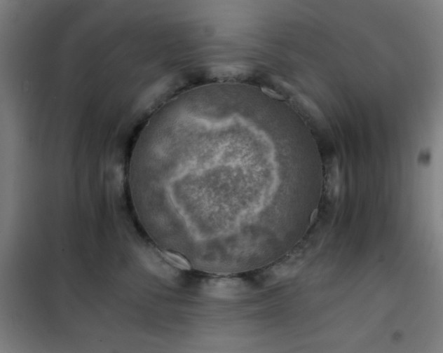 X0000101650716200807101231