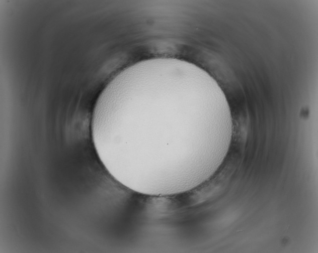 X0000101650717200807101231