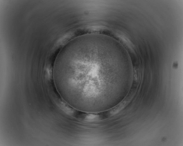 X0000101650718200807101231