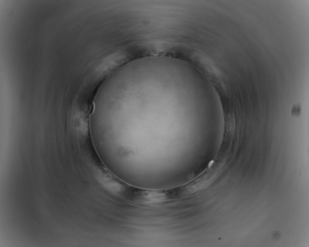 X0000101650719200807101231