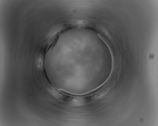 X0000101650720200807101231