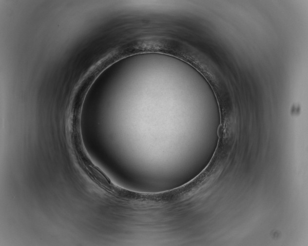 X0000101650722200807101230