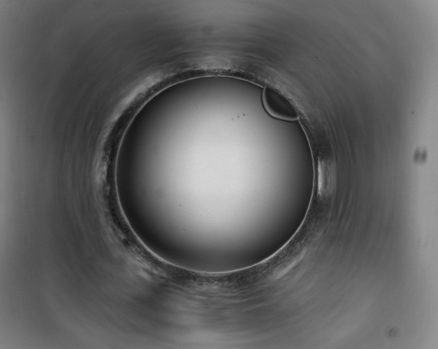 X0000101650723200807101230