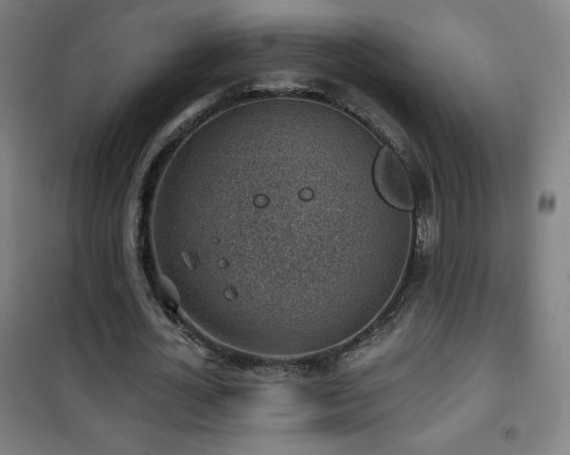 X0000101650724200807101230