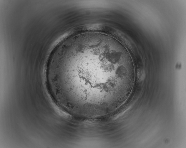 X0000101650725200807101230