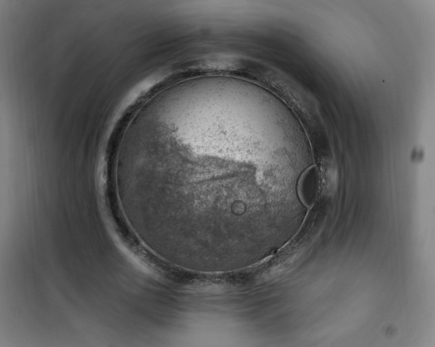 X0000101650726200807101231