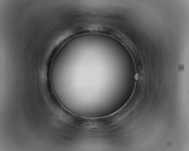 X0000101650727200807101231