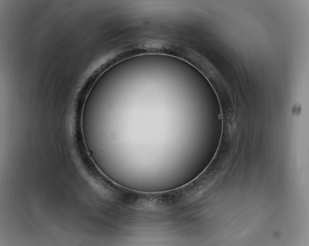 X0000101650728200807101231