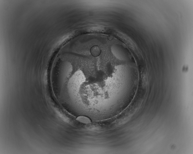 X0000101650729200807101231