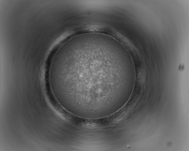 X0000101650730200807101231