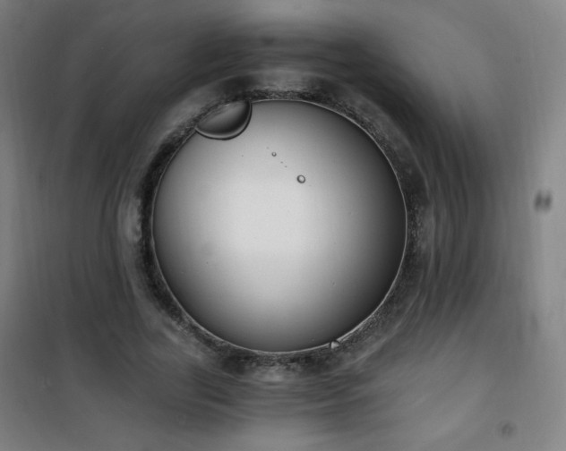 X0000101650731200807101231