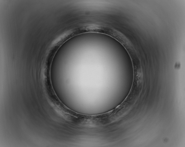 X0000101650732200807101231