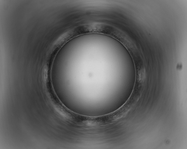 X0000101650733200807101231