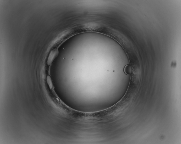 X0000101650734200807101231