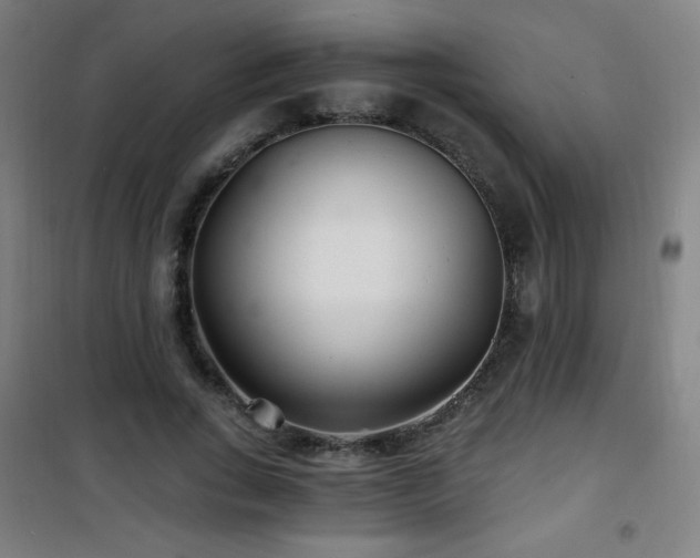 X0000101650735200807101231