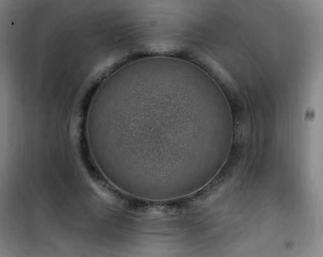 X0000101650736200807101231