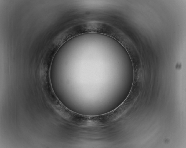 X0000101650737200807101231