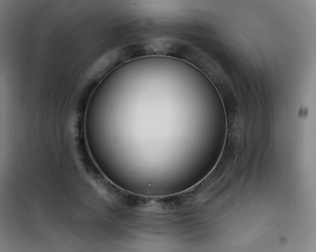 X0000101650738200807101231