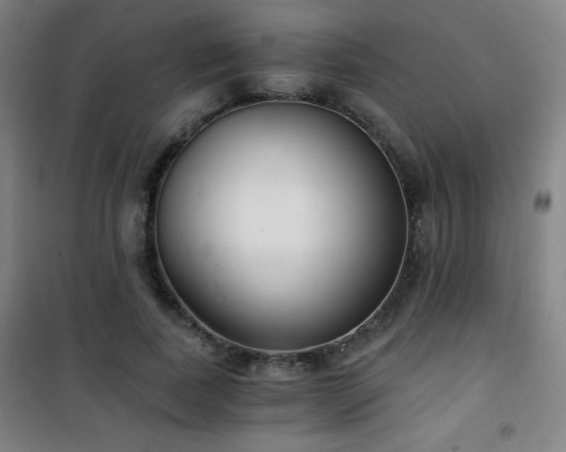 X0000101650739200807101231