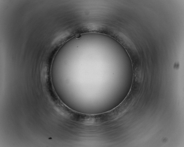 X0000101650740200807101231