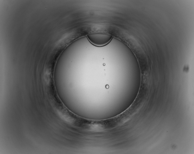 X0000101650741200807101231