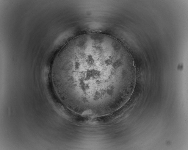 X0000101650742200807101231