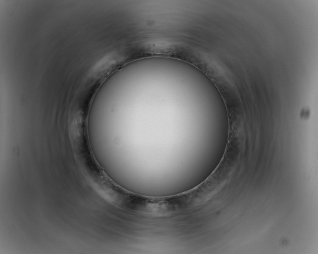 X0000101650744200807101231