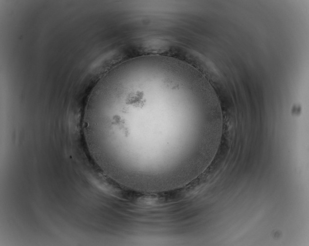 X0000101650745200807101231