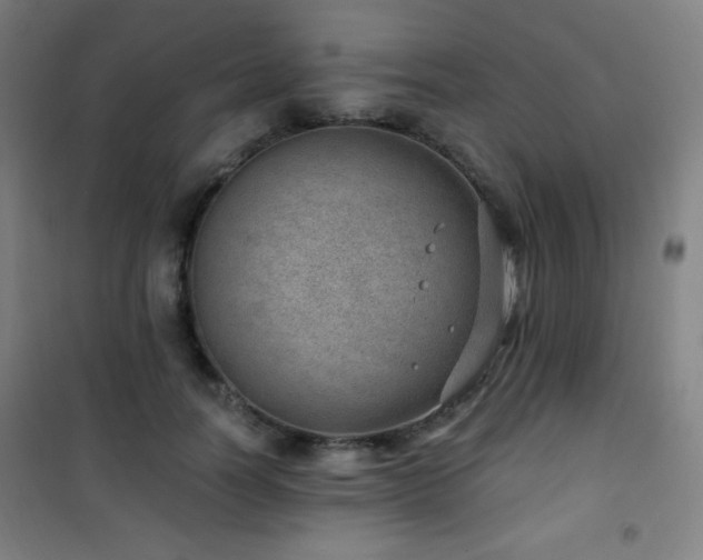 X0000101650746200807101231