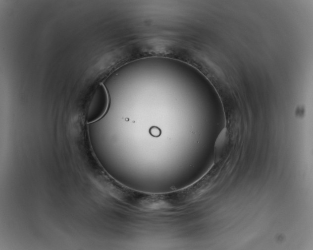 X0000101650747200807101231