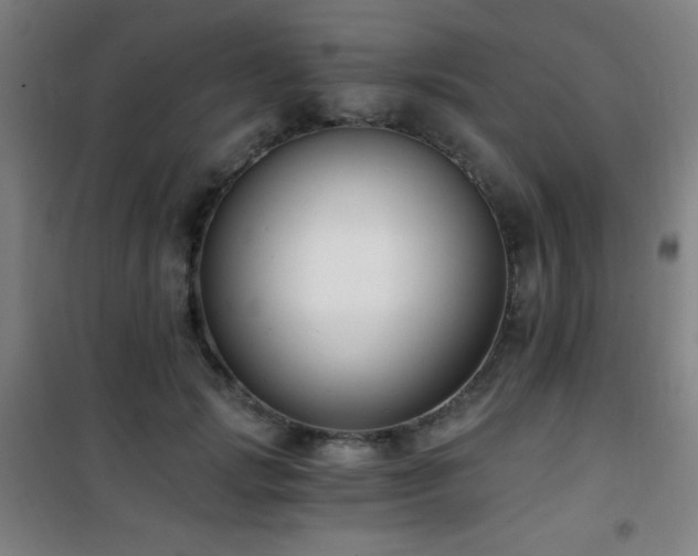 X0000101650749200807101231