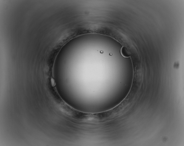 X0000101650750200807101231