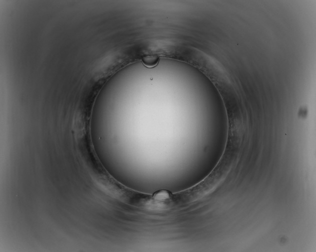 X0000101650751200807101231